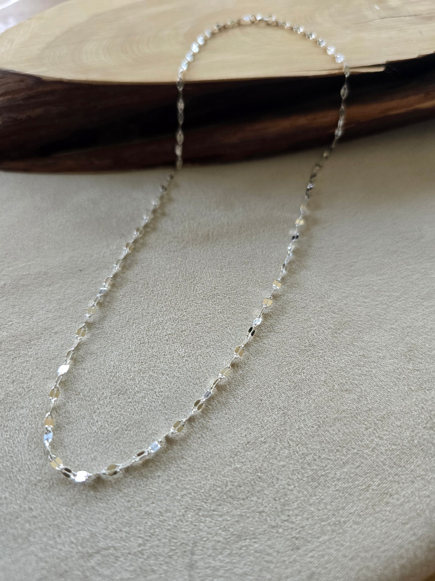 Silver Disco Necklace