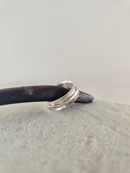 Mixed Metal Spinner Ring